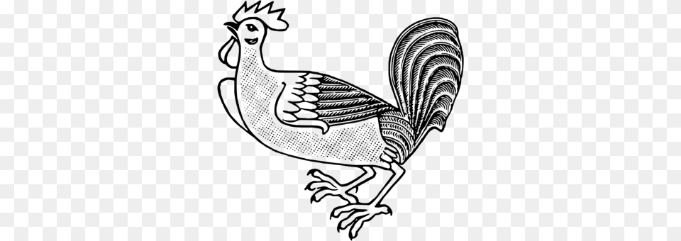 Rooster Chicken Drawing Landfowl Poultry, Gray Free Png