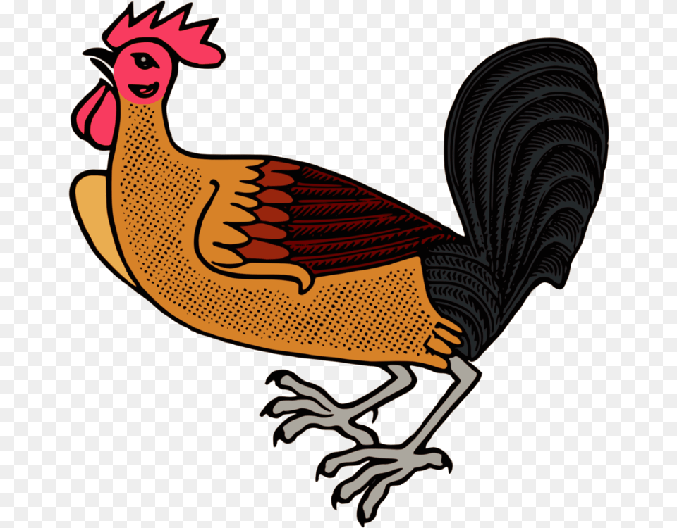 Rooster Chicken Kifaranga Poultry Landfowl, Animal, Bird, Fowl, Person Free Png