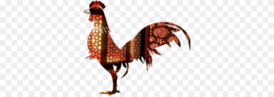 Rooster Chicken Poultry Fowl Phasianidae Chicken, Adult, Bride, Female, Person Png Image