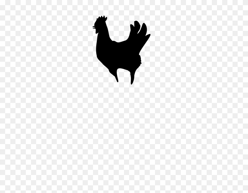 Rooster Chicken Silhouette Poultry Farming, Gray Png