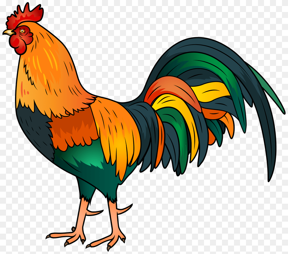 Rooster Clip Art, Animal, Bird, Chicken, Fowl Free Transparent Png