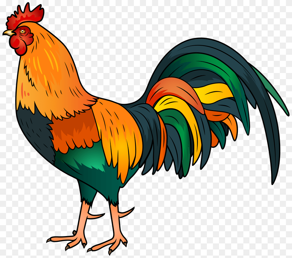 Rooster Clip Art, Animal, Bird, Chicken, Fowl Free Png Download