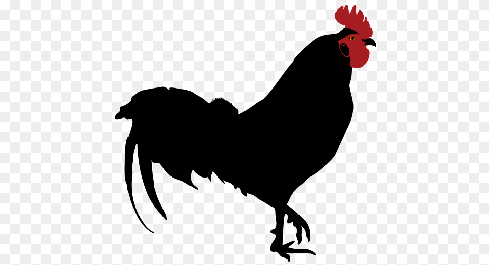 Rooster Clip Art, Animal, Bird, Fowl, Poultry Free Png Download