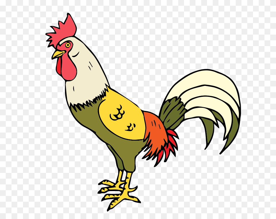 Rooster Clipart, Animal, Bird, Chicken, Fowl Png Image