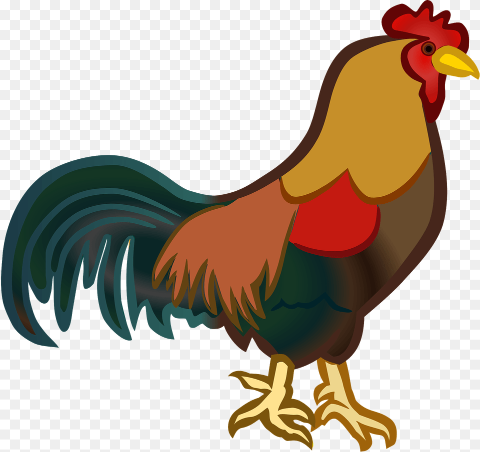 Rooster Clipart, Animal, Bird, Chicken, Fowl Png