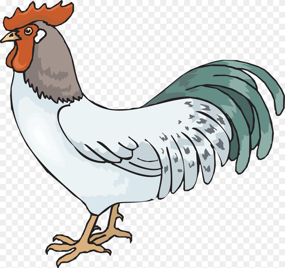 Rooster Clipart, Animal, Bird, Fowl, Poultry Free Transparent Png