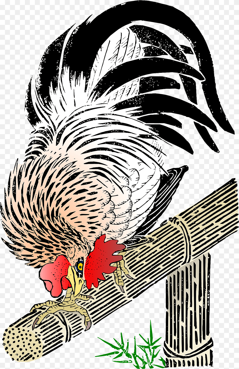 Rooster Clipart, Person, Animal, Bird, Chicken Free Transparent Png