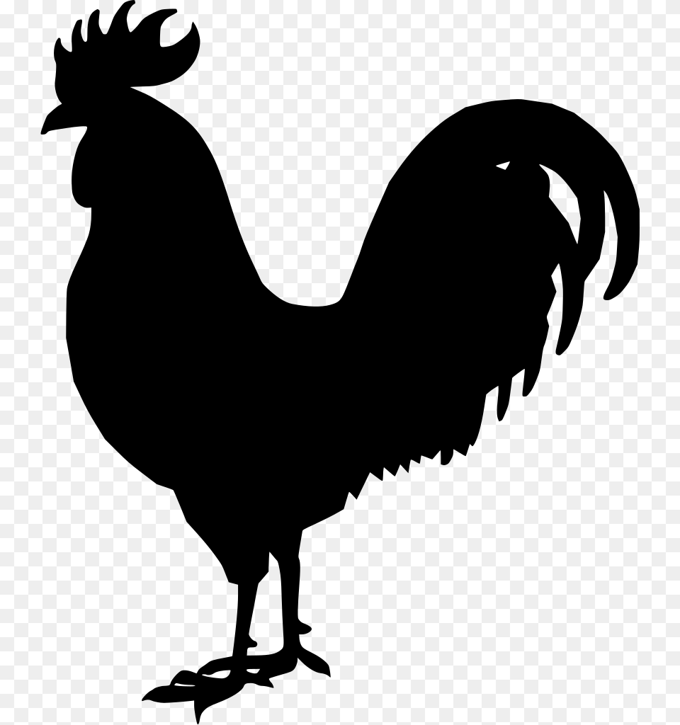 Rooster Clipart, Gray Free Transparent Png