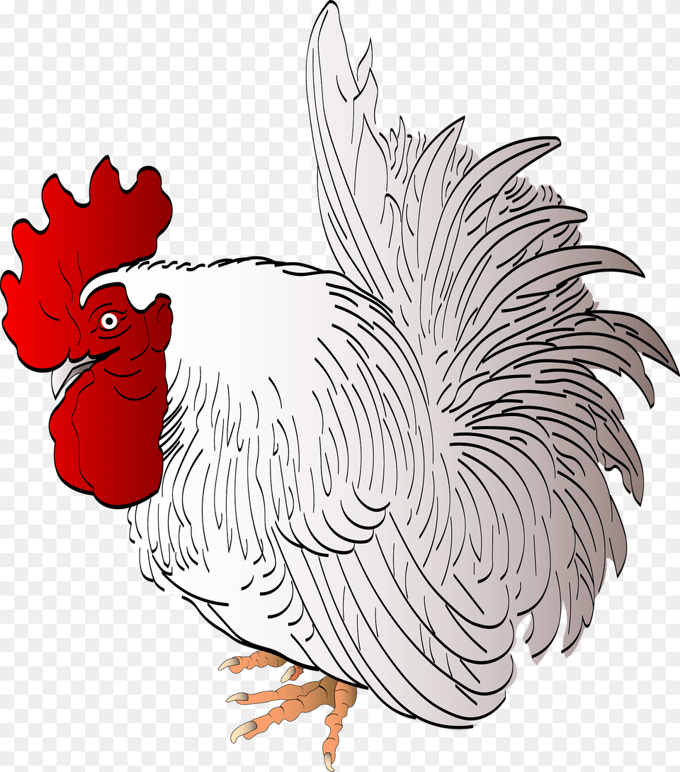 Rooster Clipart, Animal, Bird, Fowl, Poultry Png Image