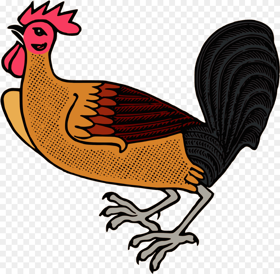 Rooster Clipart, Animal, Bird, Poultry, Fowl Png Image