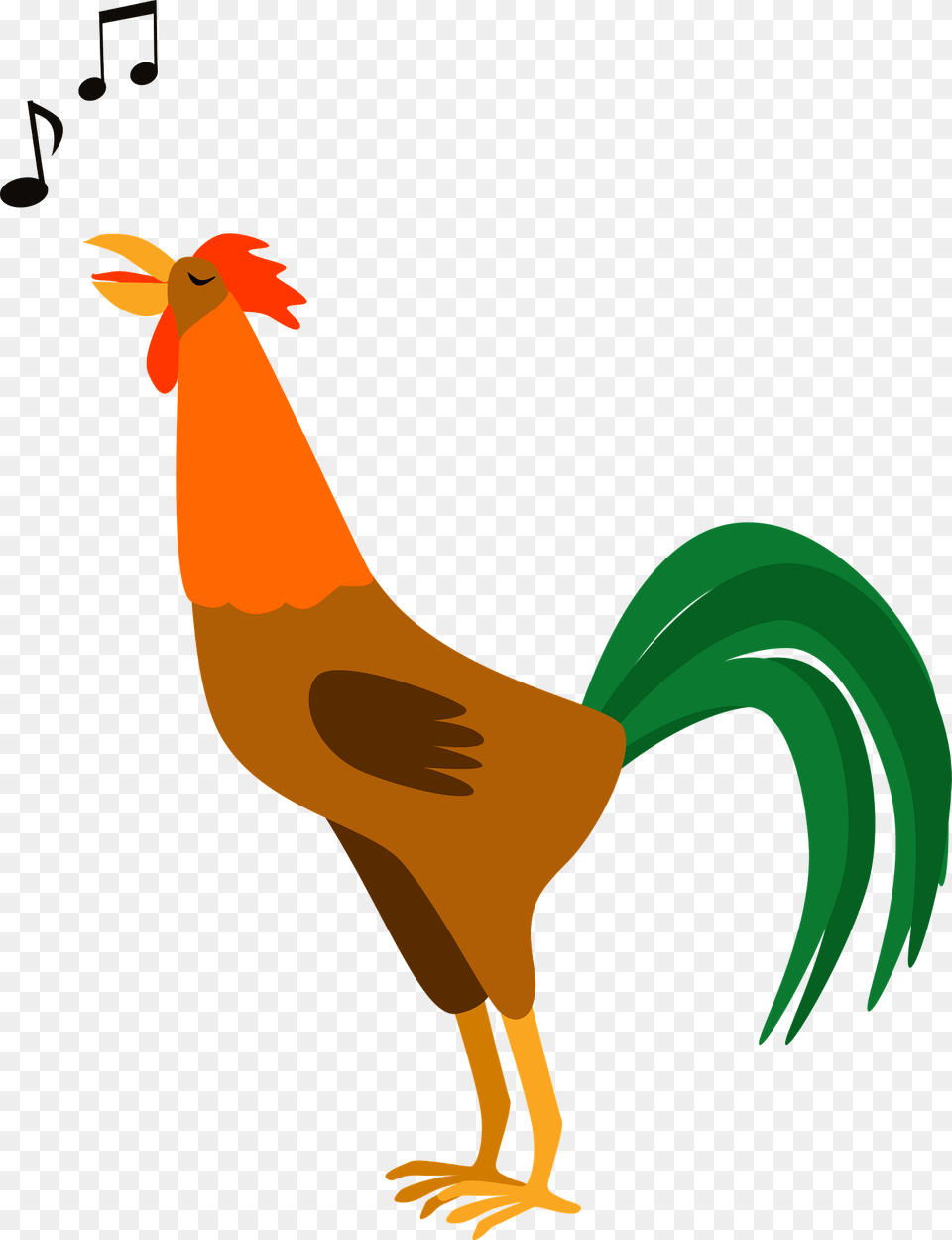 Rooster Clipart, Animal, Bird, Chicken, Fowl Png