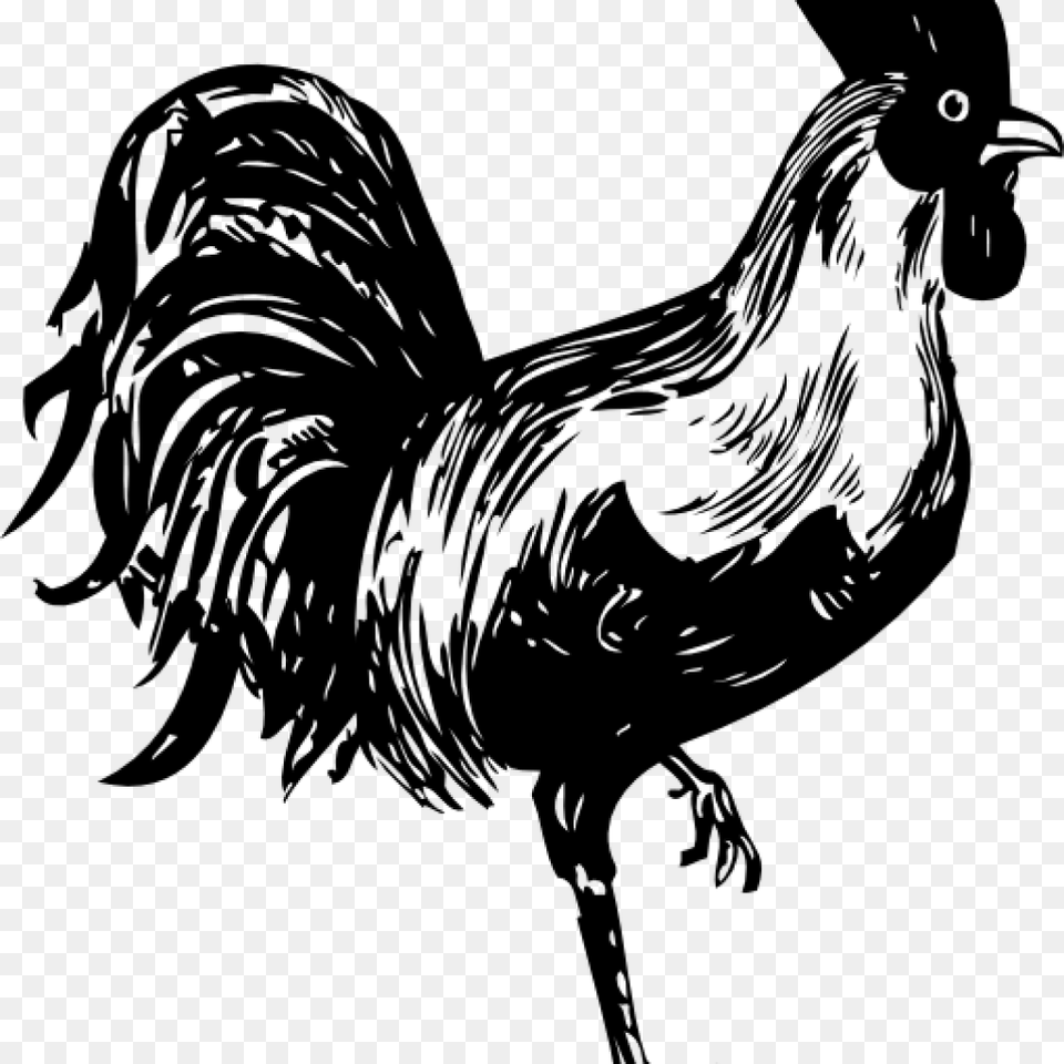 Rooster Clipart Black And White Owl Clipart House Clipart Online, Gray Free Png