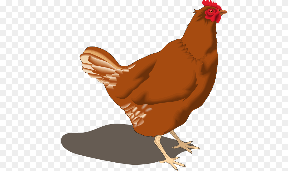 Rooster Clipart Hen Hen, Animal, Bird, Chicken, Fowl Free Png Download