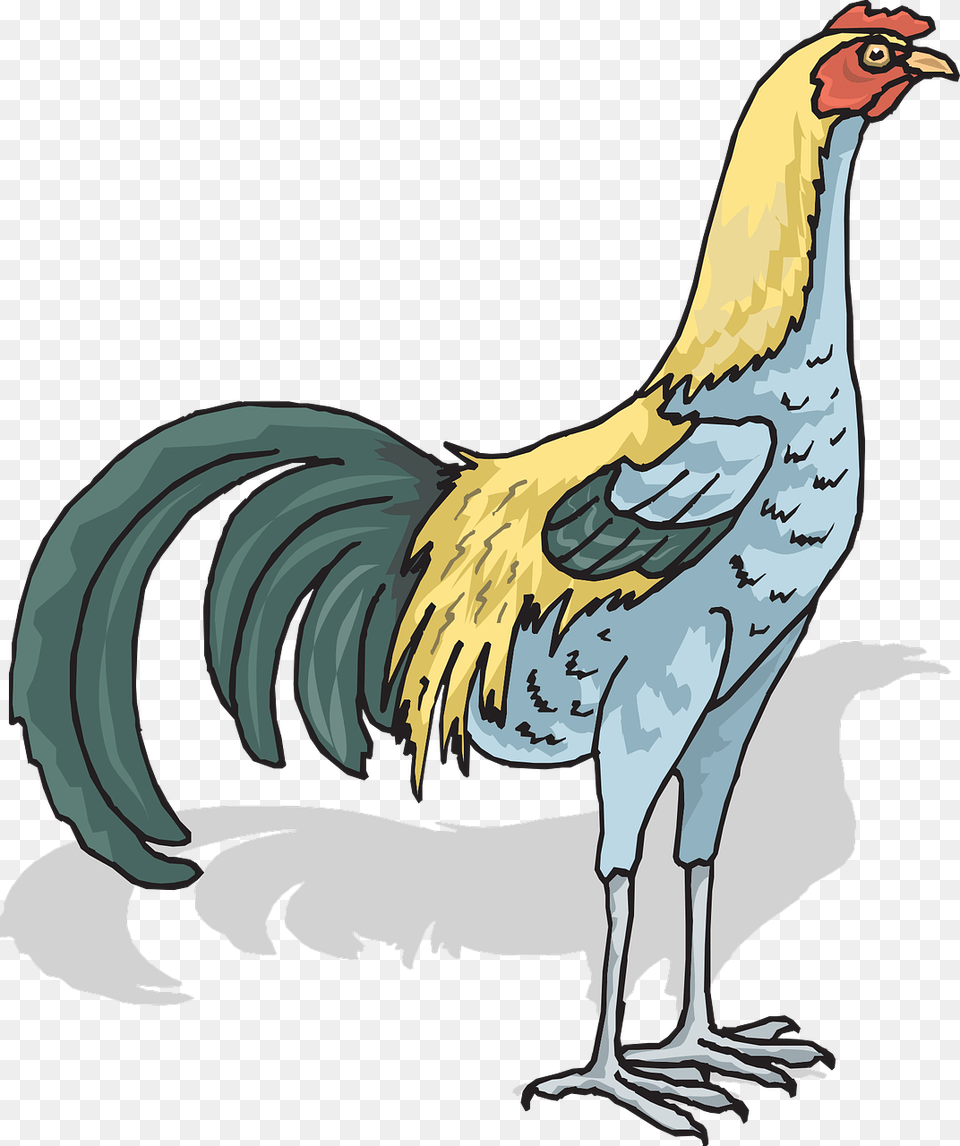 Rooster Cock Cockerel Free Picture Rooster, Animal, Bird, Chicken, Fowl Png Image