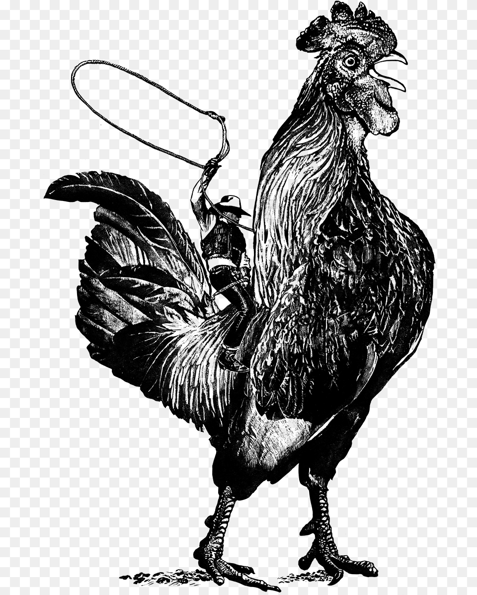 Rooster Cowboy Riding A Chicken, Gray Free Png Download