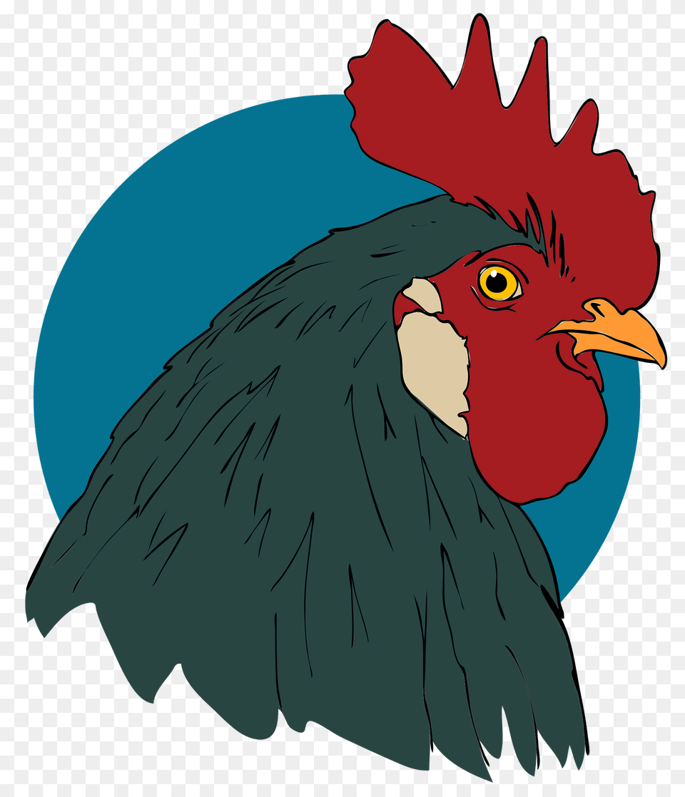 Rooster Head Clipart, Animal, Bird, Fowl, Poultry Free Png