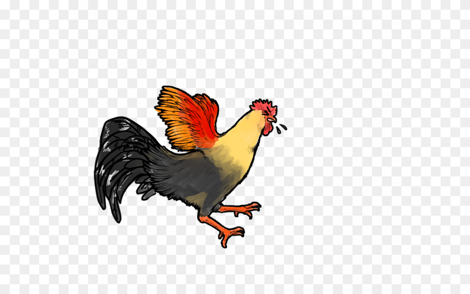 Rooster Hen Chicken Rooster Cock Hen Image On Hen Chicken Rooster, Animal, Bird, Fowl, Poultry Free Transparent Png