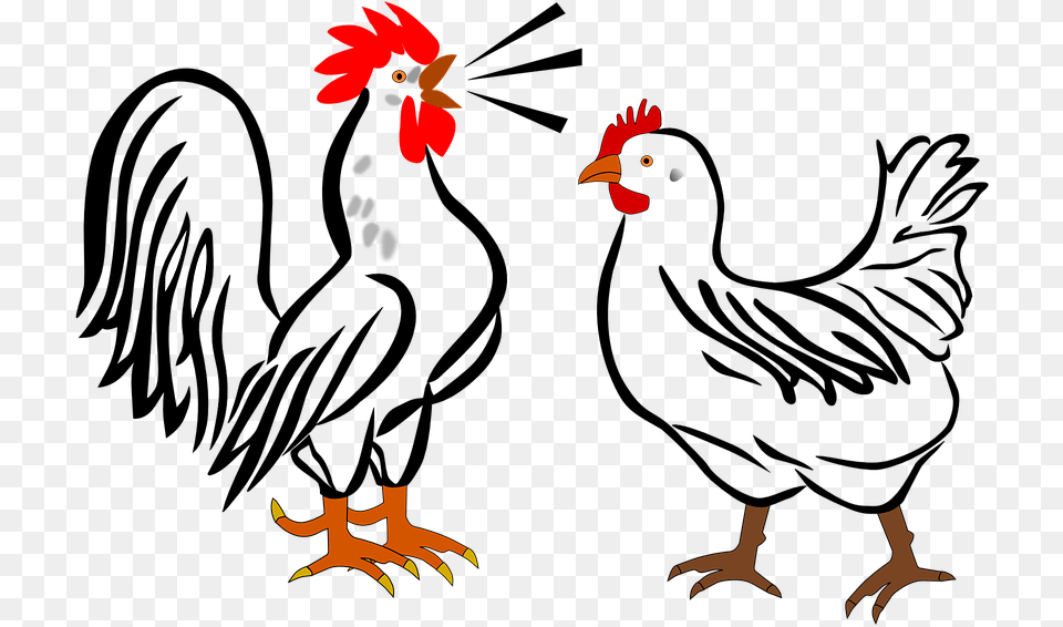 Rooster Hen Farm Animals Birds Chicken Poultry Chicken And Rooster Clipart, Animal, Bird, Fowl Png Image