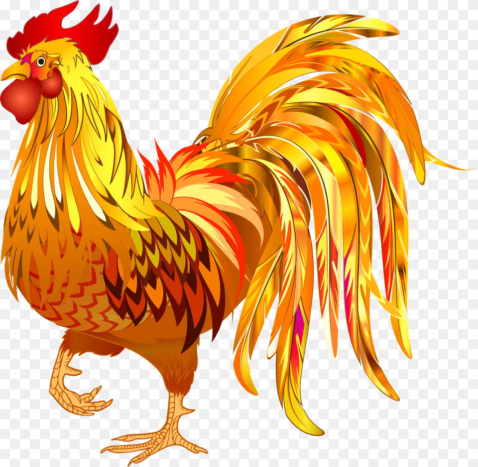 Rooster Image With No, Adult, Male, Man, Person Png