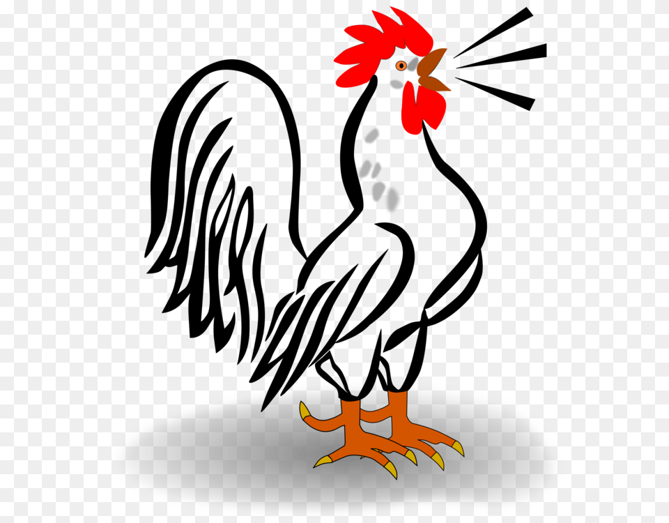 Rooster Kifaranga Animal, Bird, Chicken, Fowl Free Png Download