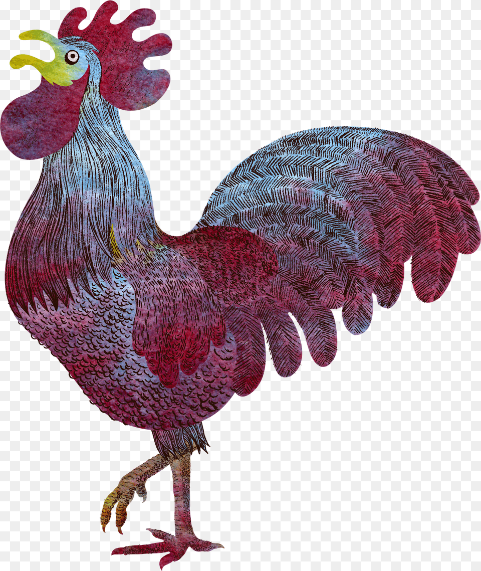 Rooster Louwilde Png Image