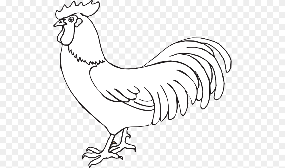 Rooster Peter Denies Jesus Coloring, Animal, Bird, Poultry, Fowl Free Png Download