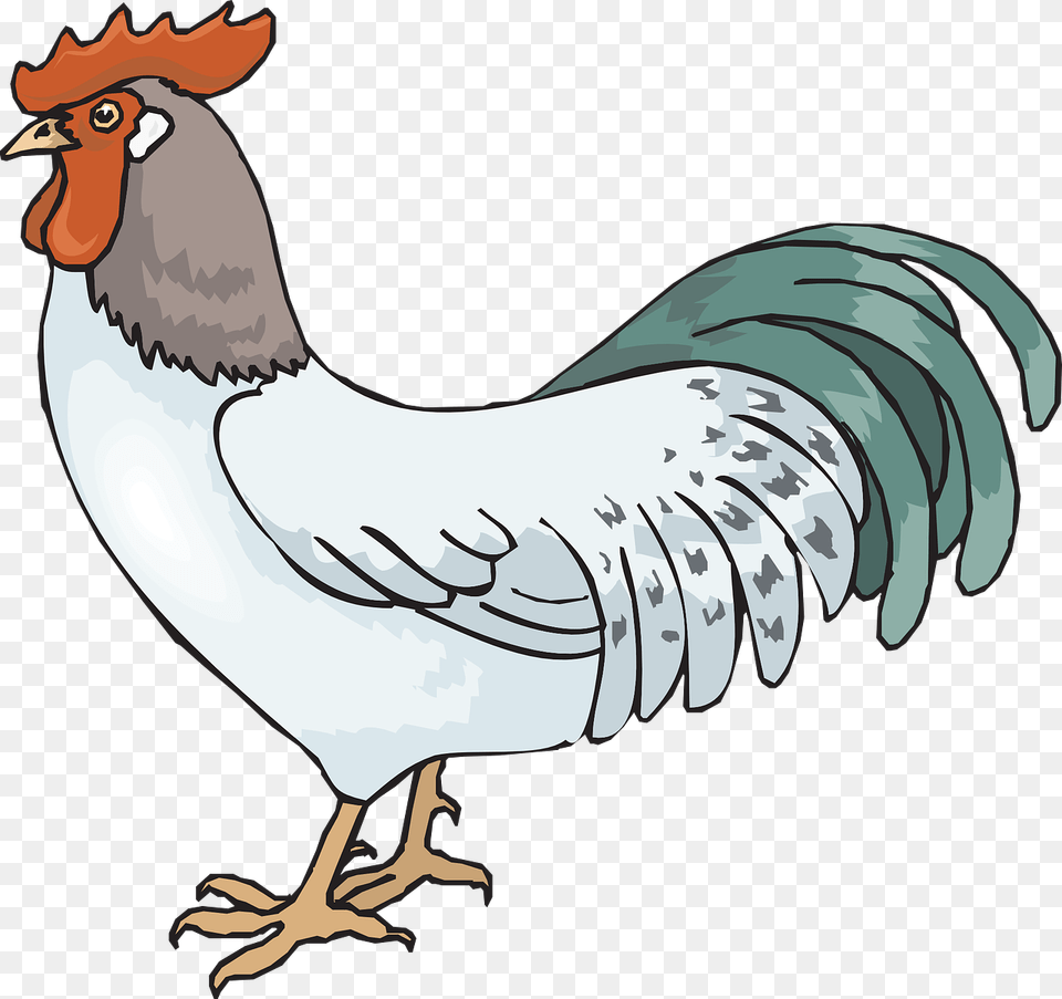 Rooster Pic Rooster Clip Art, Animal, Bird, Fowl, Poultry Free Transparent Png