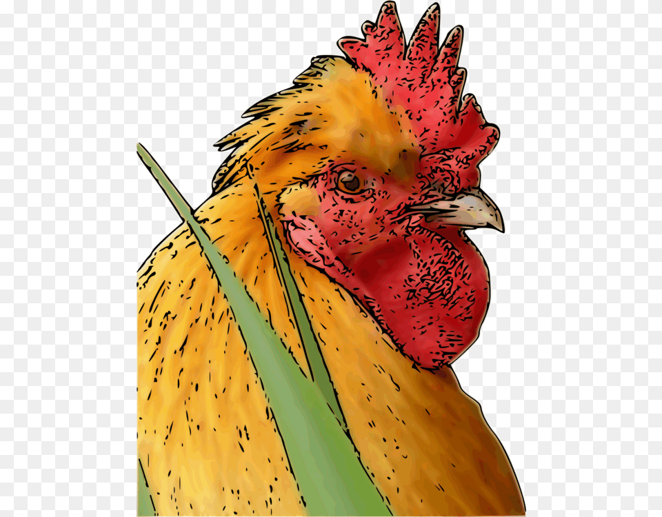 Rooster Poultry Fowl Silkie Leghorn Chicken Chicken, Animal, Bird, Person Free Transparent Png