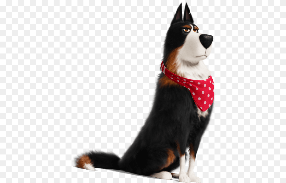 Rooster Secret Life Of Pets, Accessories, Bandana, Headband, Animal Png