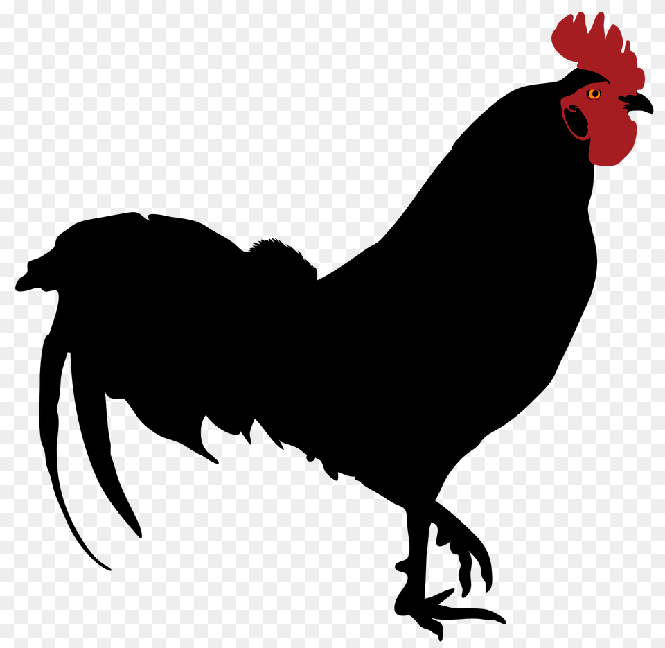Rooster Silhouette 02 Clipart, Animal, Bird, Chicken, Fowl Png Image
