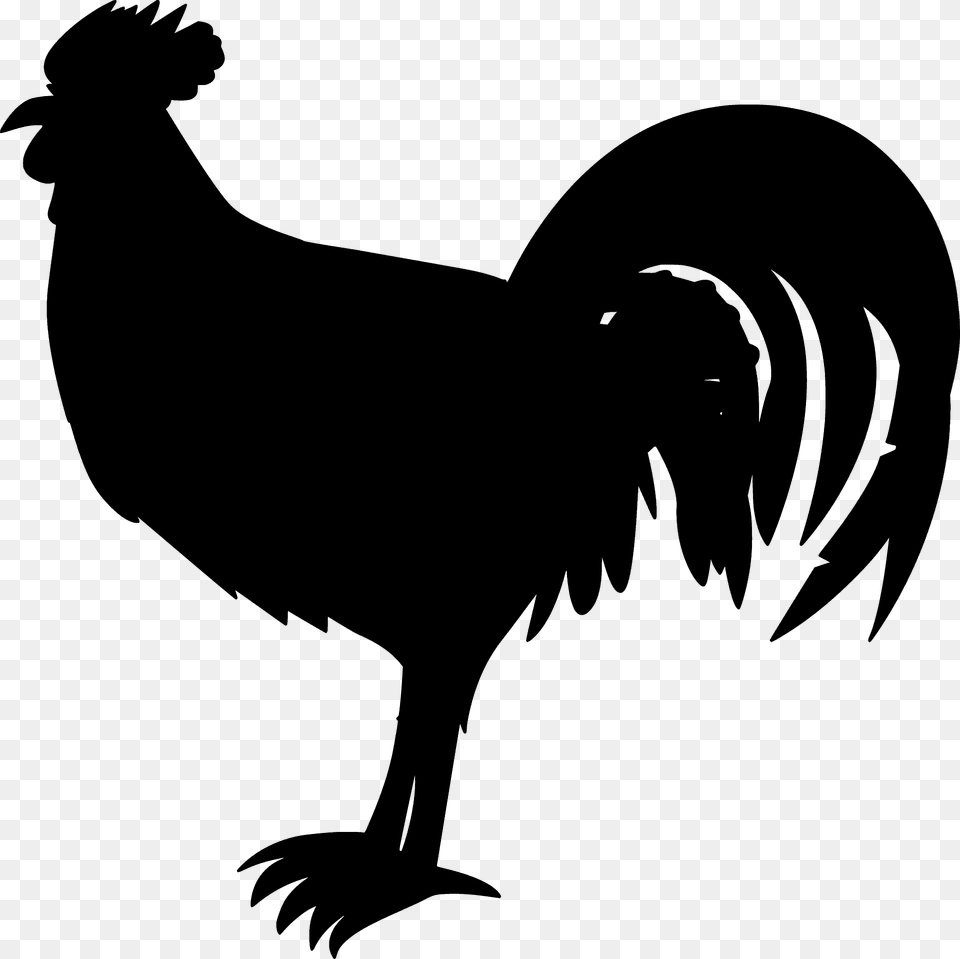 Rooster Silhouette, Animal, Bird, Chicken, Fowl Free Png Download