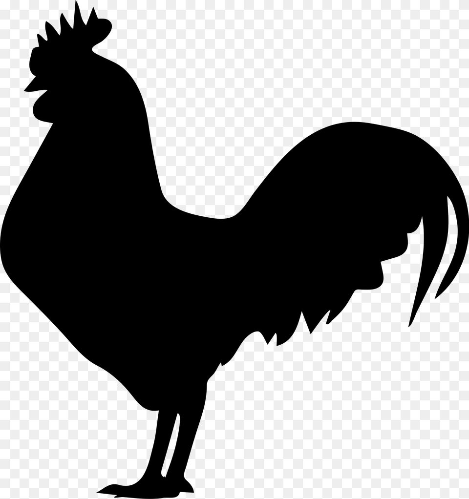 Rooster Silhouette, Gray Png Image