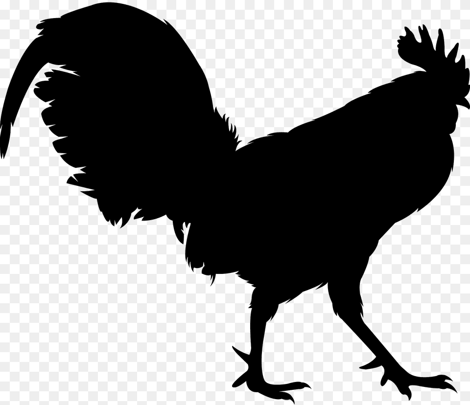 Rooster Silhouette, Animal, Bird, Fowl, Poultry Free Png