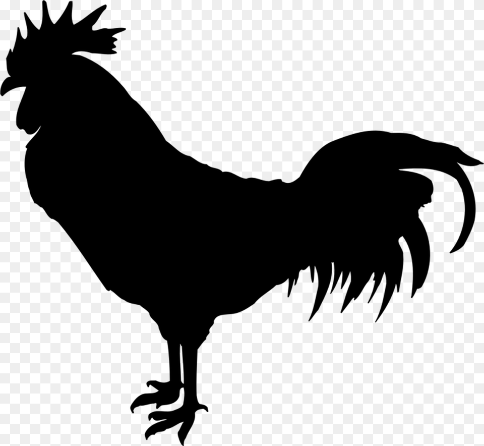 Rooster Silhouette Crown Rooster, Gray Free Png