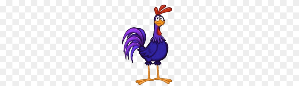 Rooster Tororo, Animal, Bird, Chicken, Fowl Png