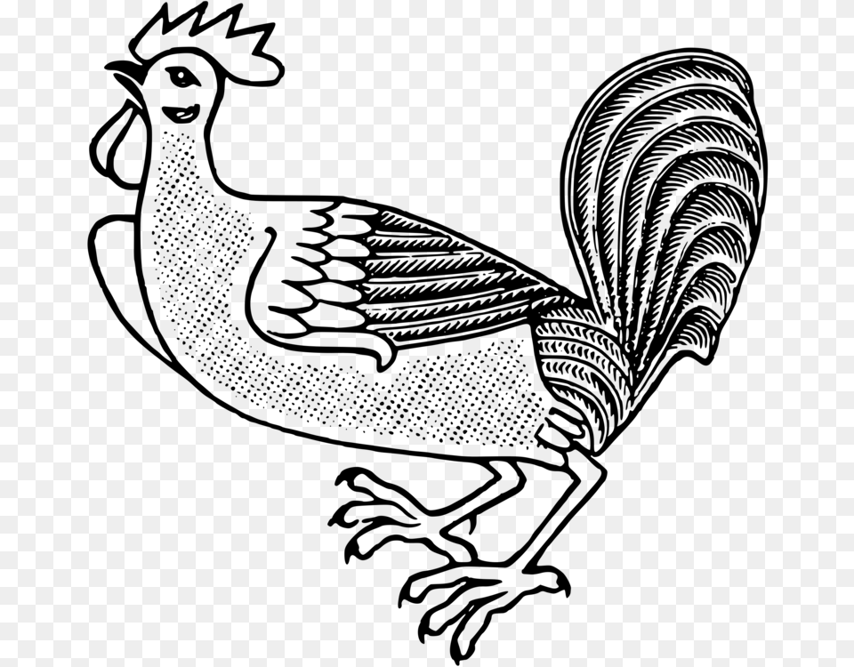 Rooster Welsummer Polish Chicken Livestock Poultry, Gray Free Png