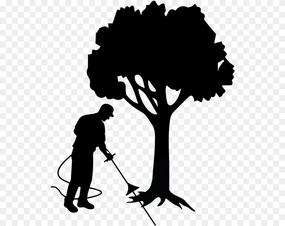 Root Aeriation Decompaction Ampamp Silhouette, Nature, Night, Outdoors Free Png Download