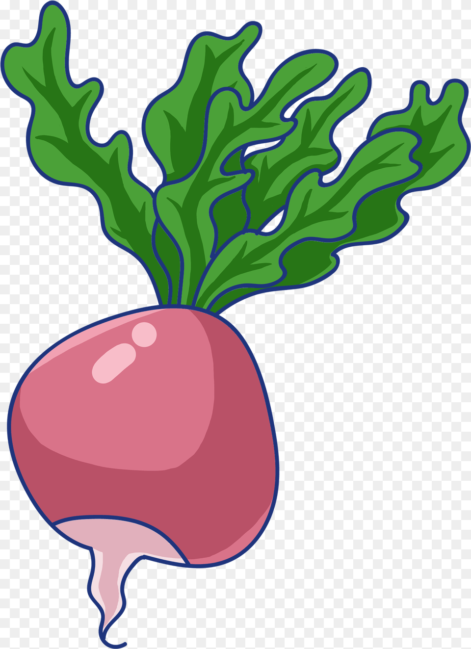 Root Red Radish Green And Clip Art, Food, Produce, Plant, Vegetable Free Png