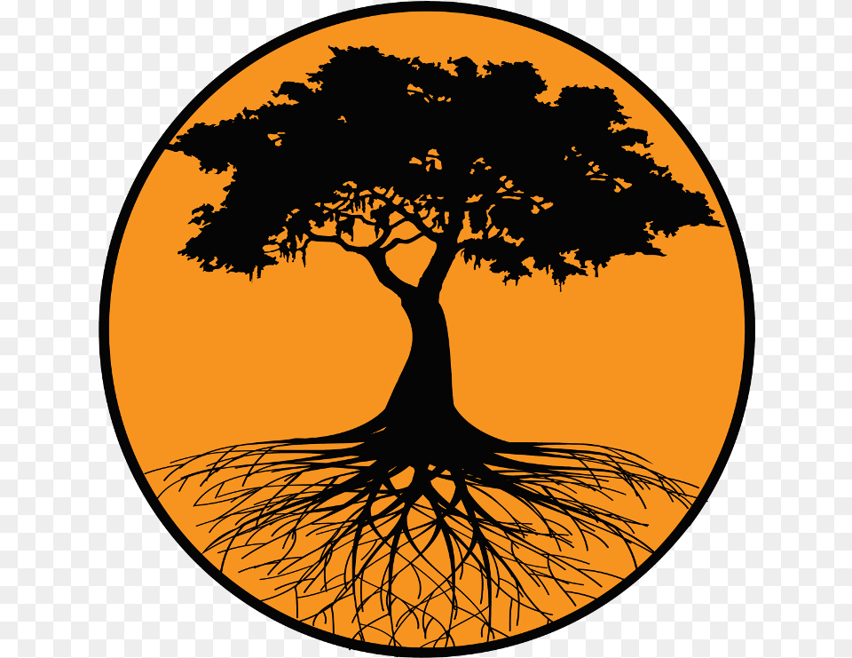 Root Silhouette Tree Orange Tree Download Above So Below Tree, Plant, Astronomy, Moon, Nature Free Png