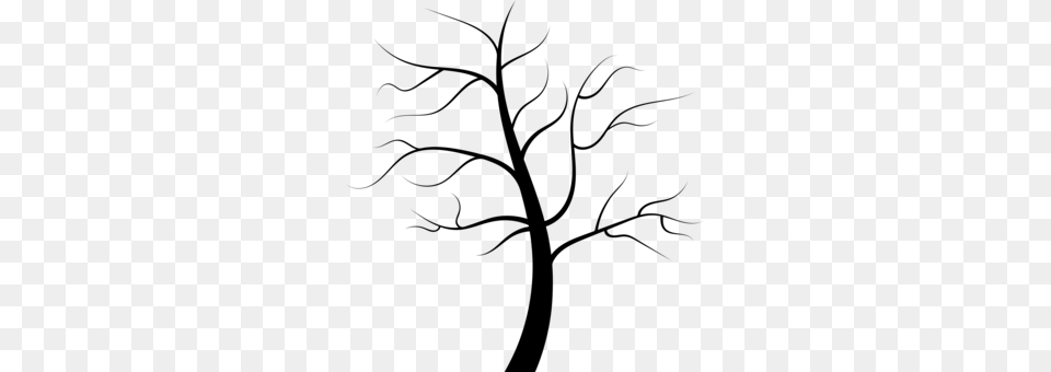 Root Tree Branch Drawing Leaf, Gray Png