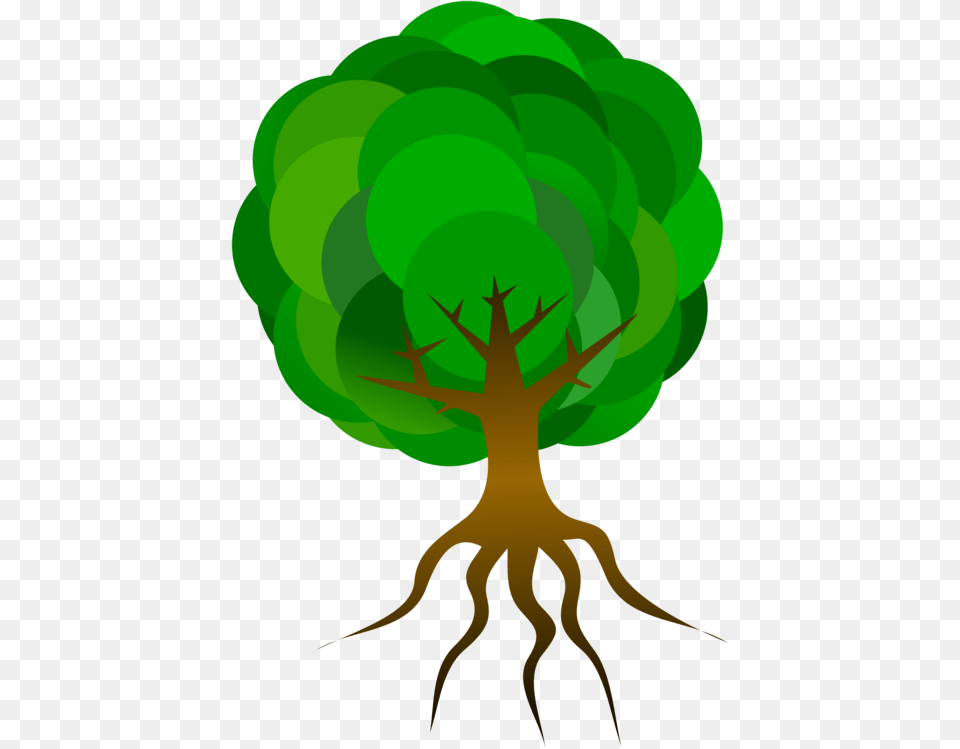 Root Tree Drawing Oak Branch, Green, Plant, Person Png Image