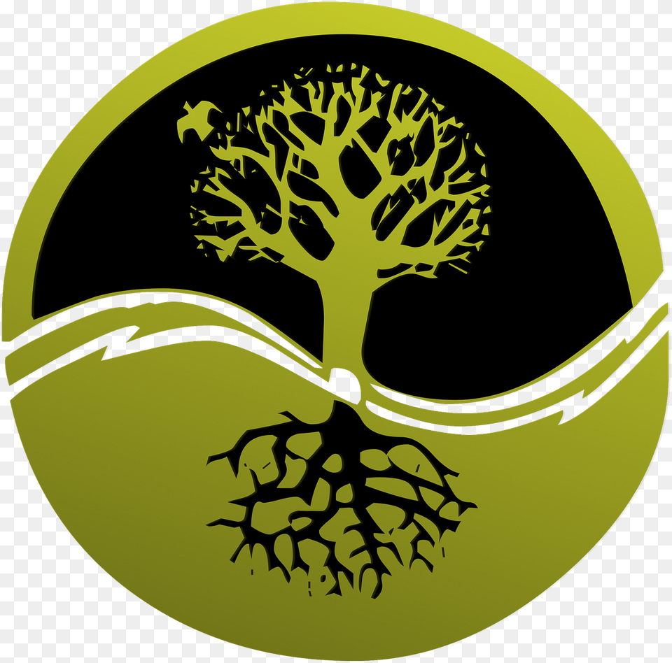 Root Tree Logo Clip Discipleship Matters, Leaf, Plant, Moss, Green Free Png Download