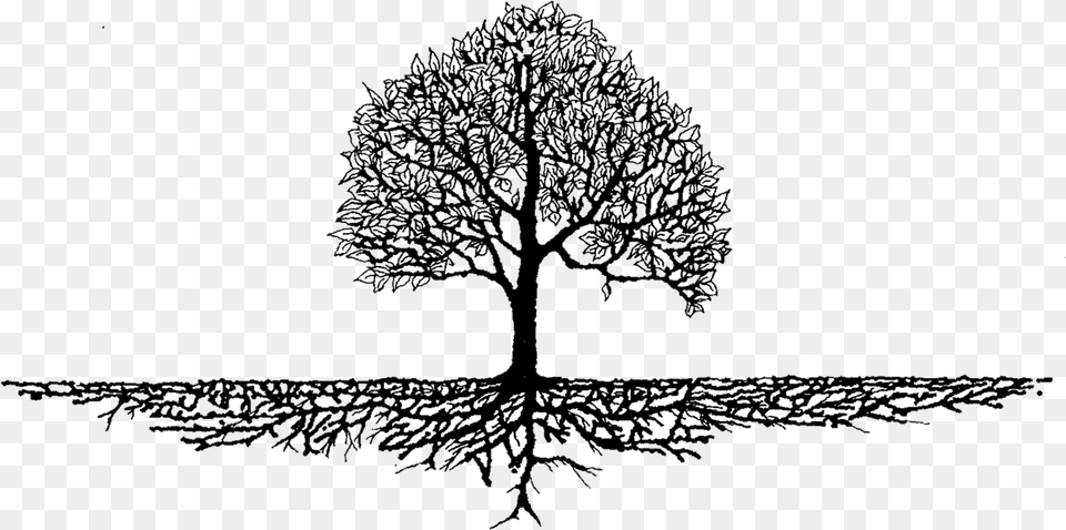 Root Tree Soil Trunk Nutrient Tree With Roots Art, Drawing, Plant, Silhouette Free Png