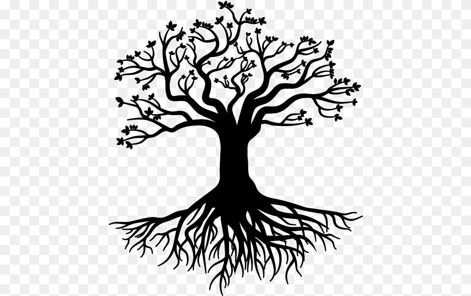 Root Tree Stock Photography Gratis Large Tree With Roots, Gray Free Png