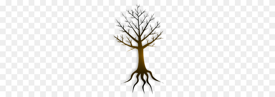 Roots Plant, Tree, Root, Cross Free Png