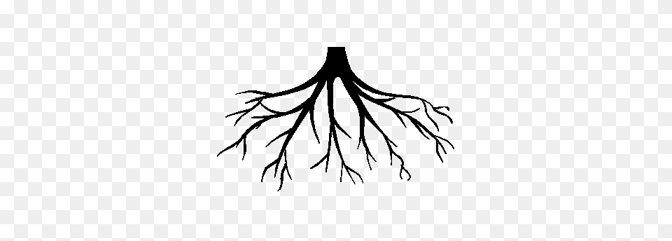 Roots Black And White Plant, Root Free Transparent Png
