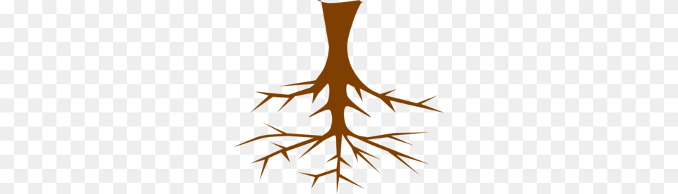 Roots Clip Art, Plant, Root, Person Free Png