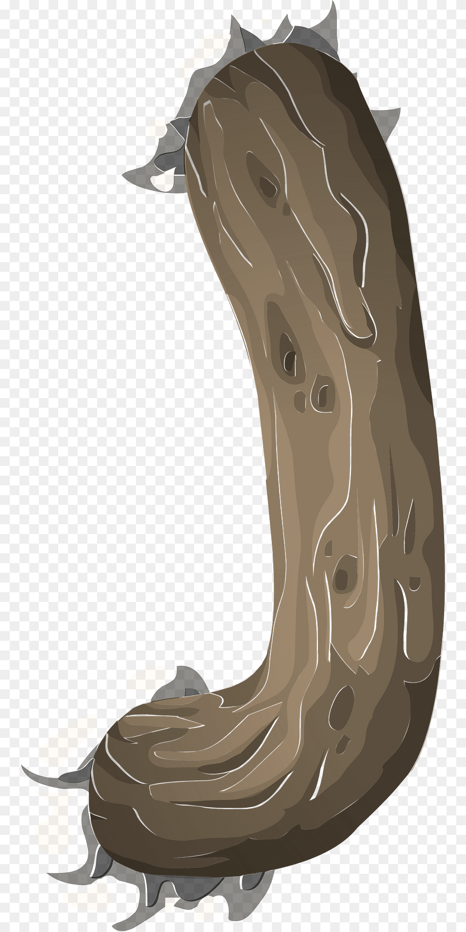 Roots Clipart, Plant, Tree, Wood, Person Png
