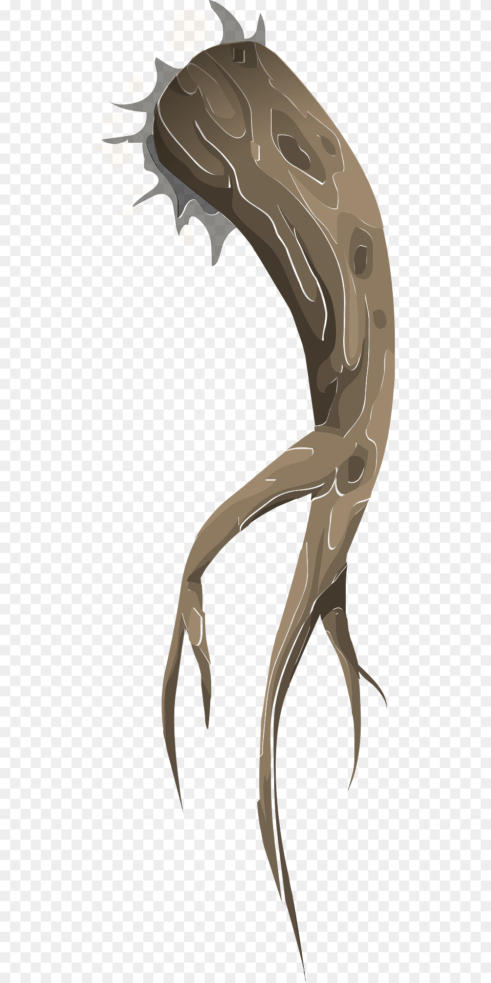 Roots Clipart, Animal, Person Png