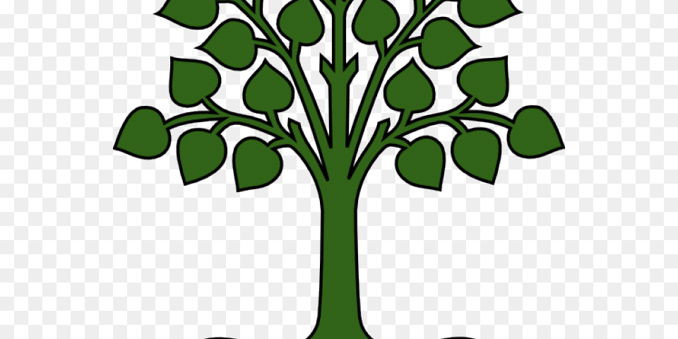 Roots Clipart, Green, Leaf, Plant, Herbal Png Image